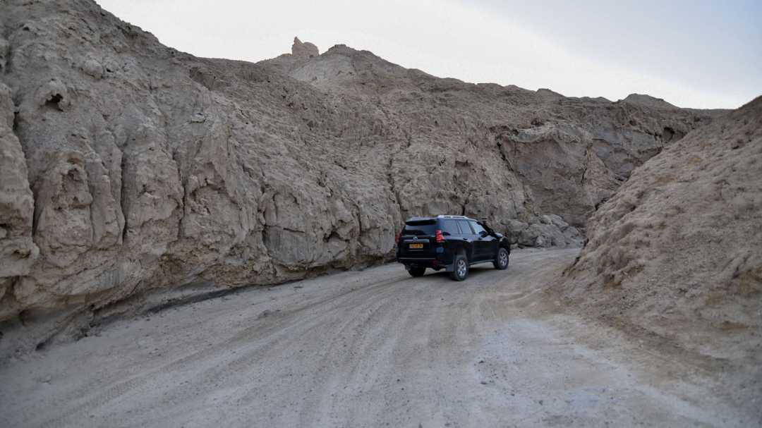 דני טיולי גיפים