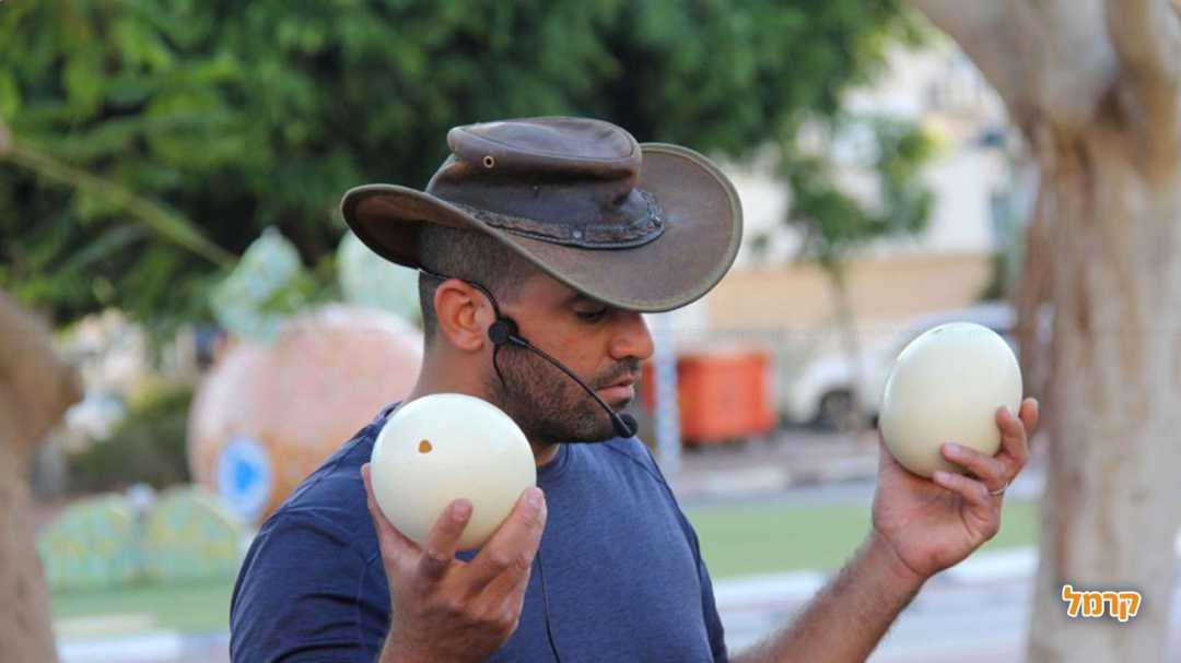 מסיבת החיות של משה 