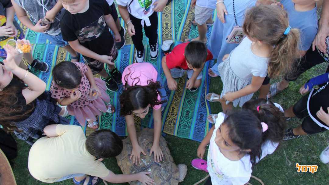 מסיבת החיות של משה 