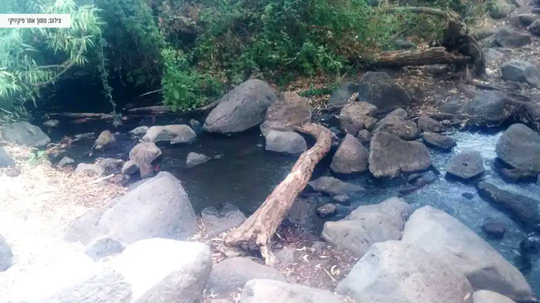 זרימת המים בנחל
