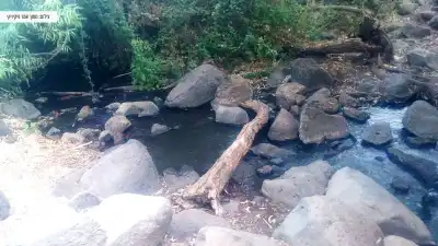 זרימת המים בנחל