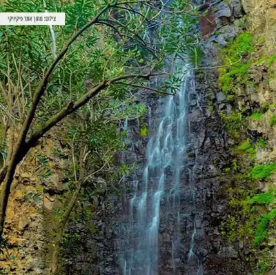 מפל במסלול הטיול