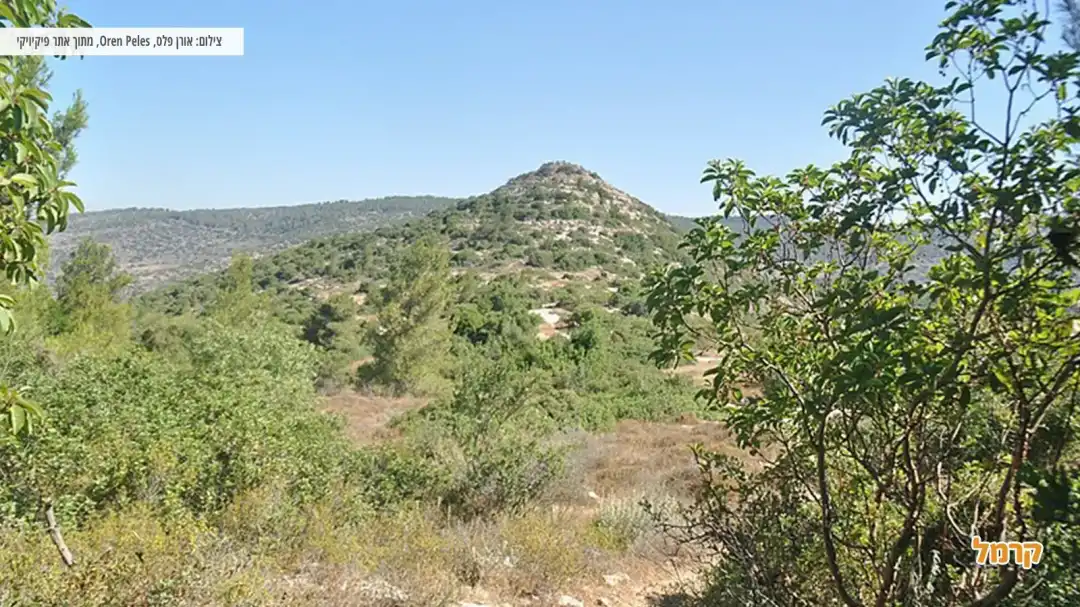 גבעת חורבת טורה באזור נחל קטלב