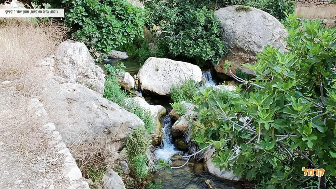 נחל הזורם ביןם סלעים וצמחיה