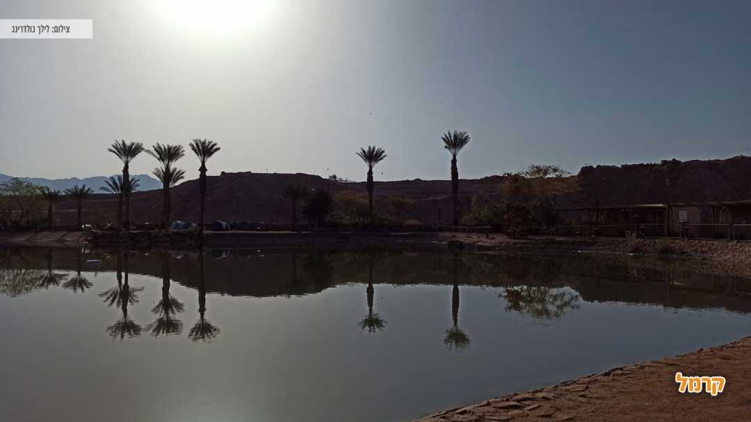 אגם הפארק בשעות ערב