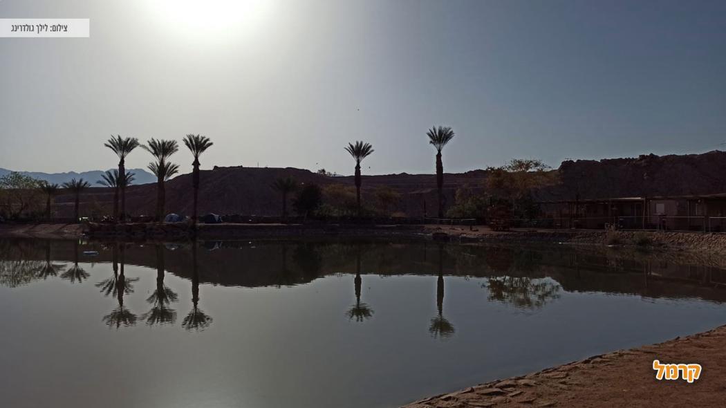 פארק תמנע בלילה