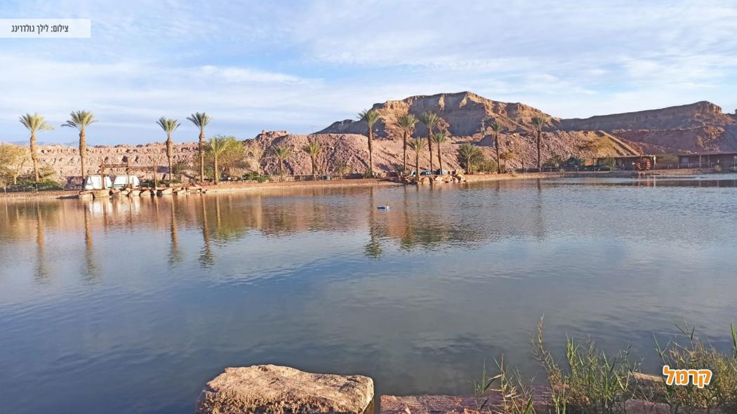 תצפית על פארק תמנע