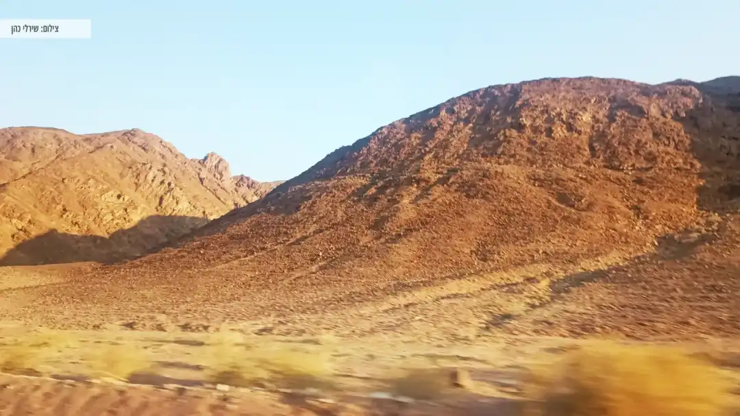 נסיעה במסלול בפארק