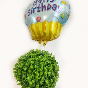 בלון ועציץ - מתנת יום הולדת מיוחדת