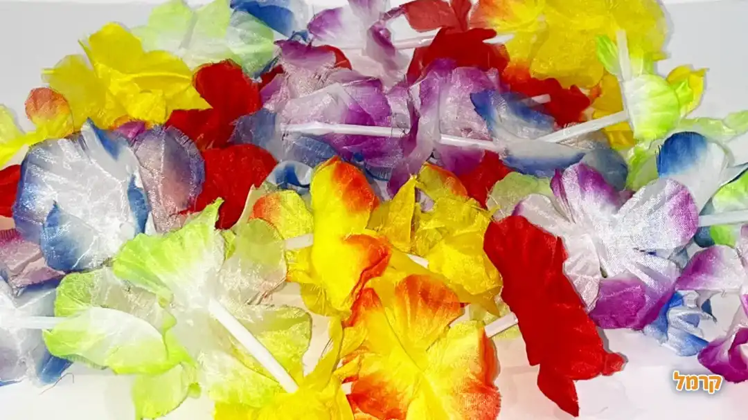 חבילת אביזרים למסיבה