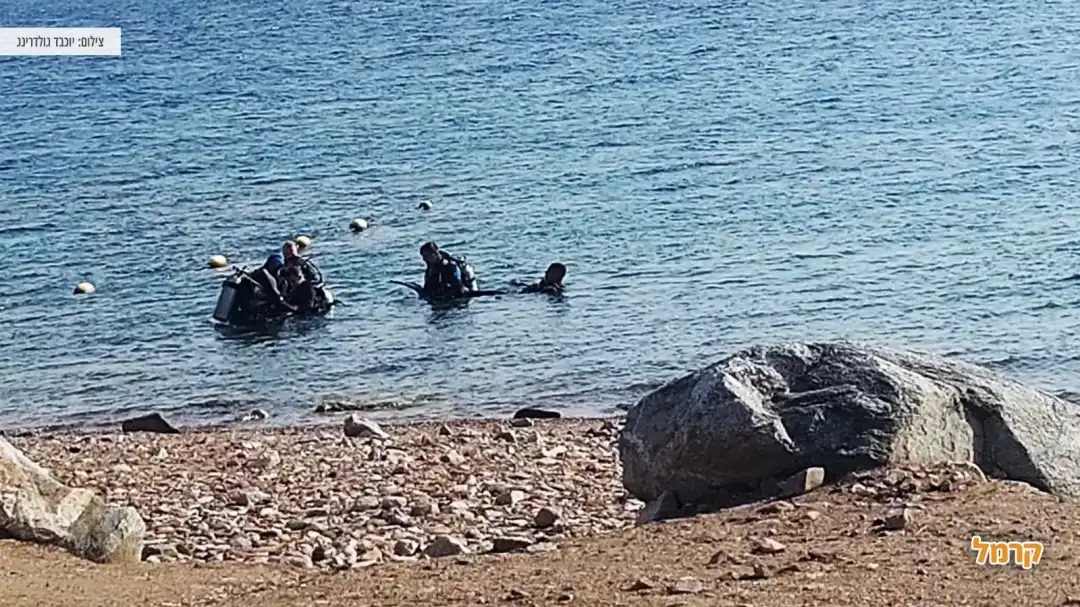 צוללנים בחוף