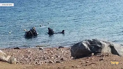 צוללנים בחוף