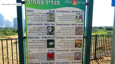 שלט ובו פירוט על הצימחיה בשמורה