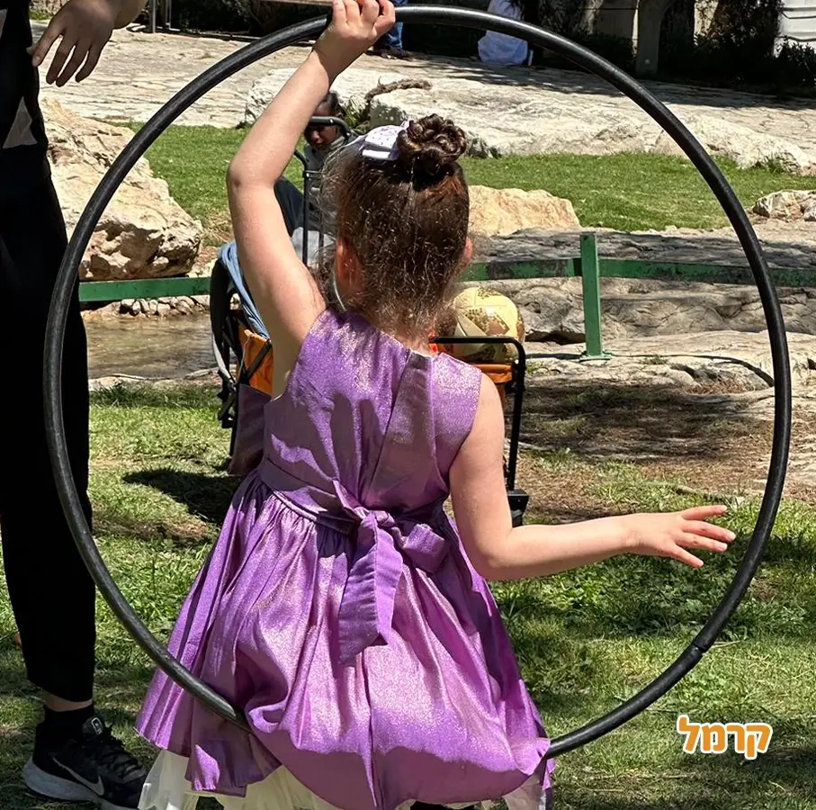 הקרקס של תומר - 073-7586016