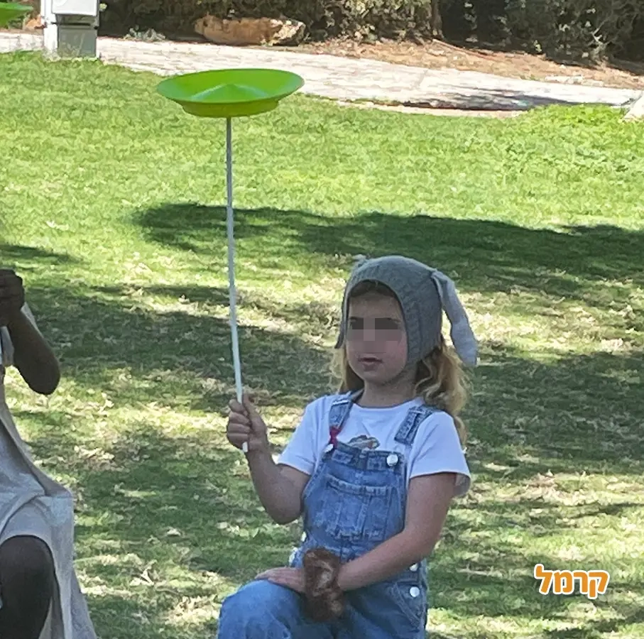 הקרקס של תומר - 073-7586016