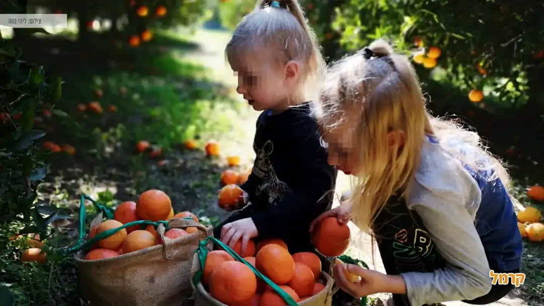 שביל התפוזים