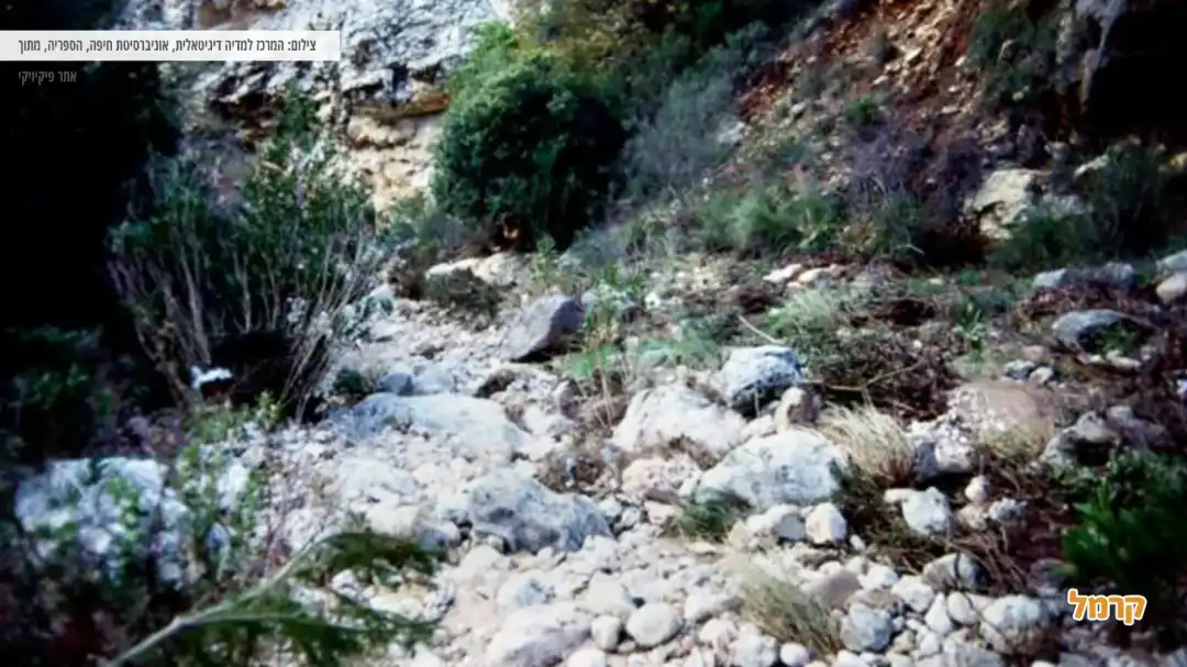 נחל אורן והאגם הנעלם