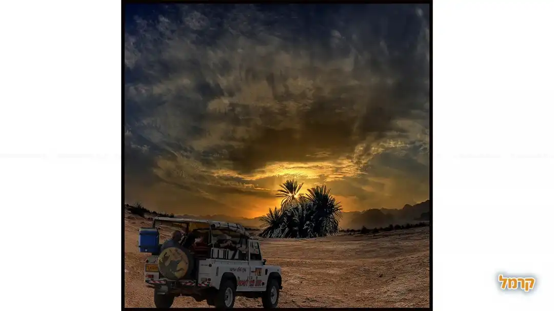 אקו טיולי מדבר 