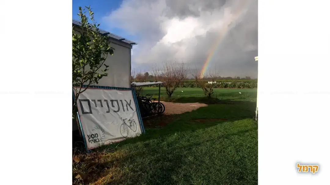 יום כיף מושלם עם מסע באיזי