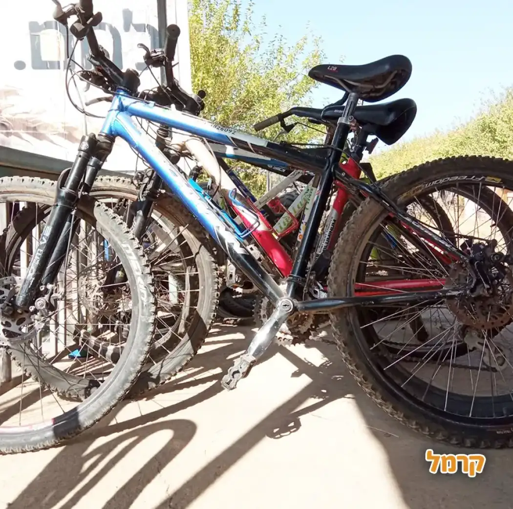 יום כיף מושלם עם מסע באיזי