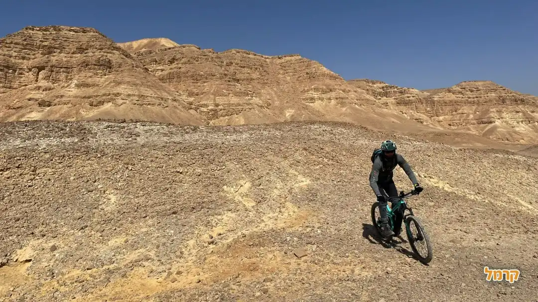 רוכבי המדבר