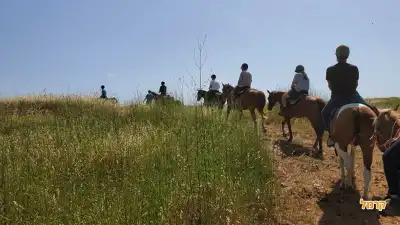 מסלול בטבע מסלול בטבע