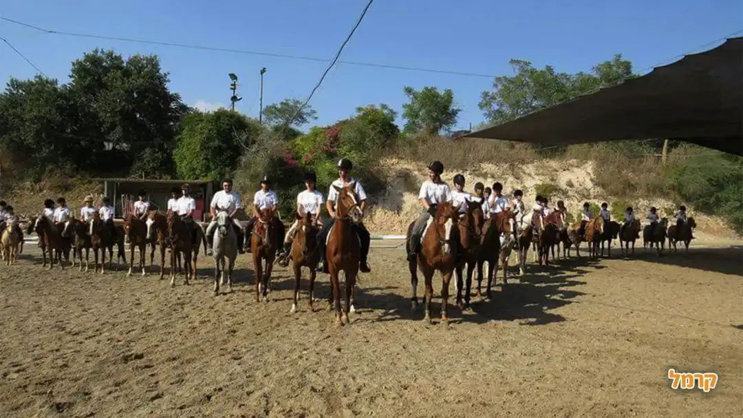 לפי יציאה לשטח
