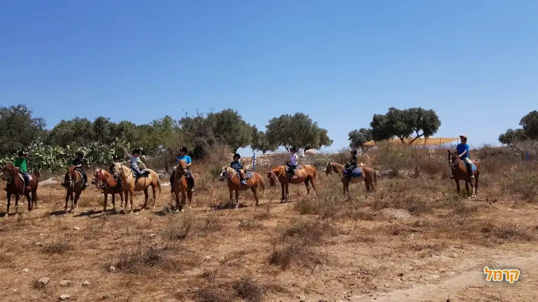 מטיילים בכיף