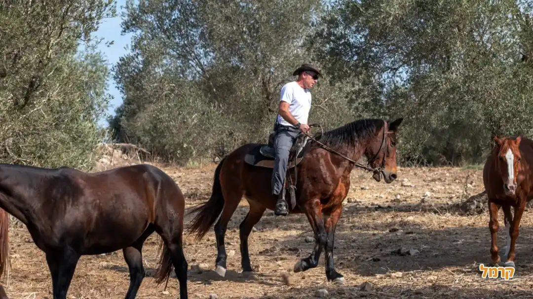 הדרכה במסלול