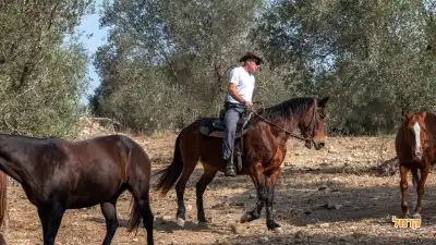הדרכה במסלול הדרכה במסלול