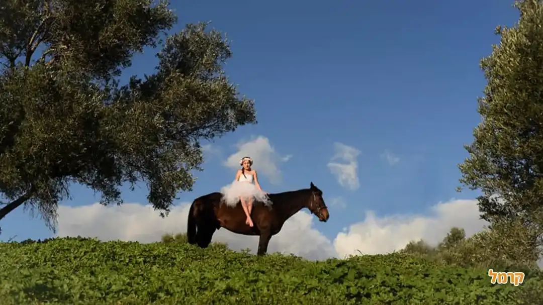 צילום בת מצווה