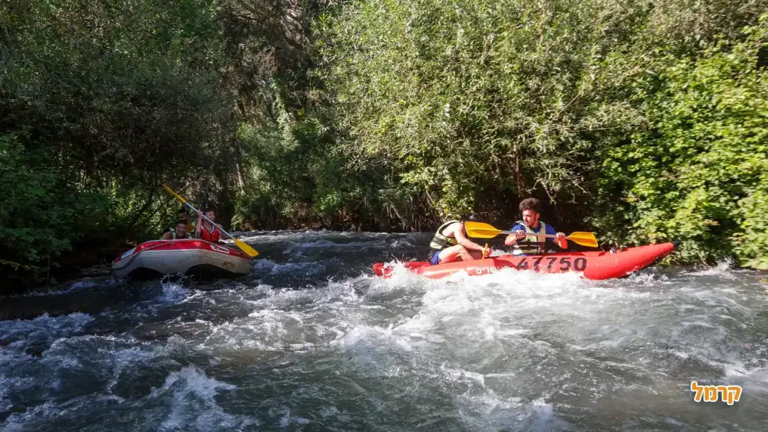 קייקי מעיין הגושרים