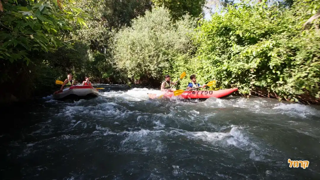 קייקי מעיין הגושרים