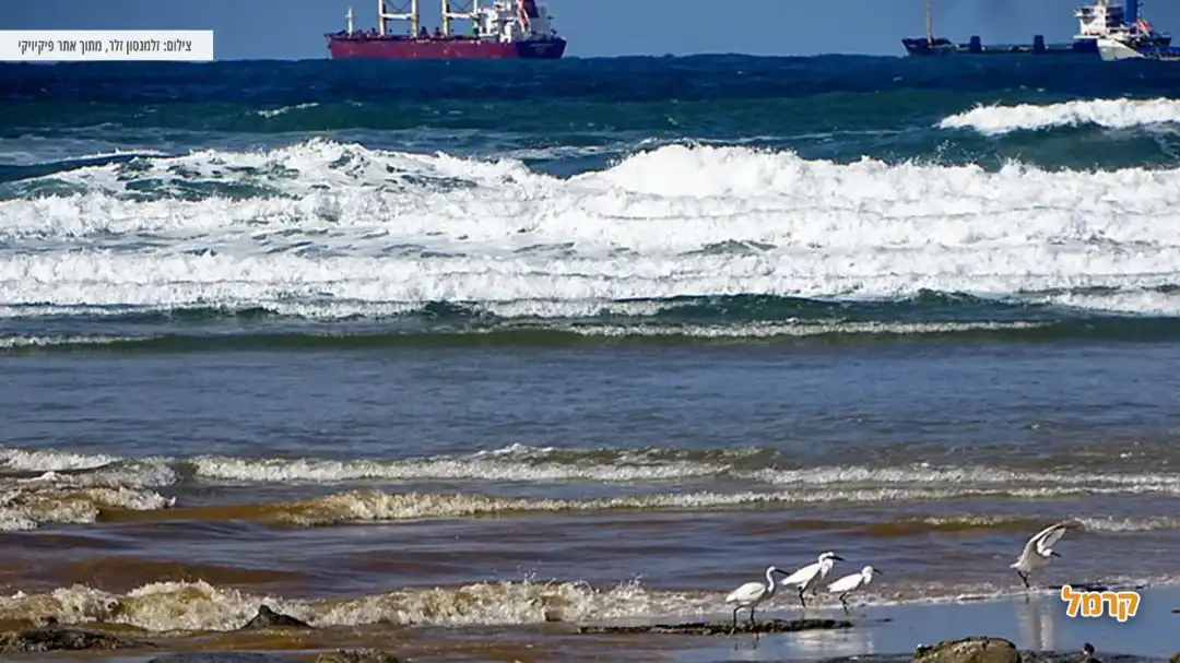 מבלים יחדיו בפארק נחל לכיש