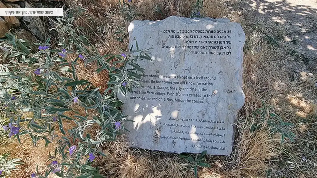 גן לאומי עינות תלם - טיול מיוחד ומרתק.