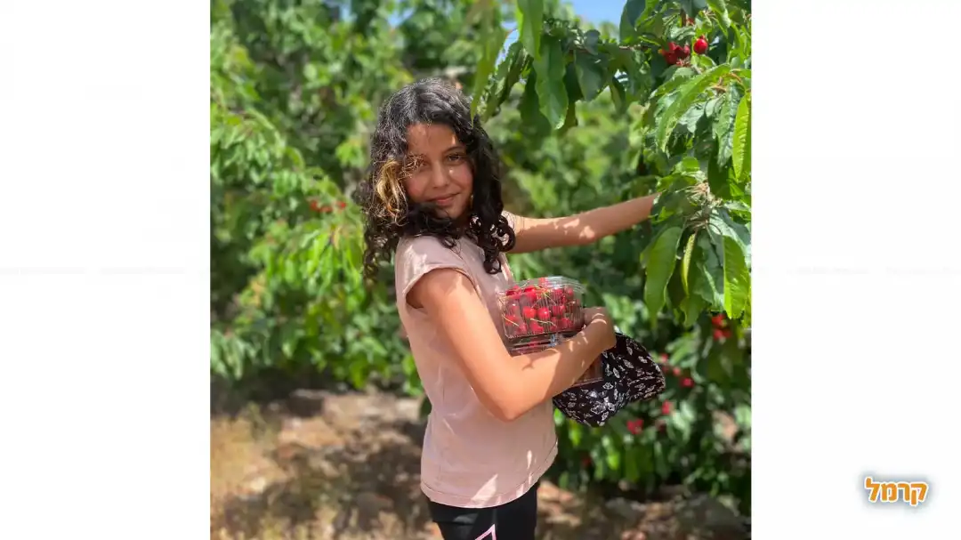 קטיף עצמי ברכת רם