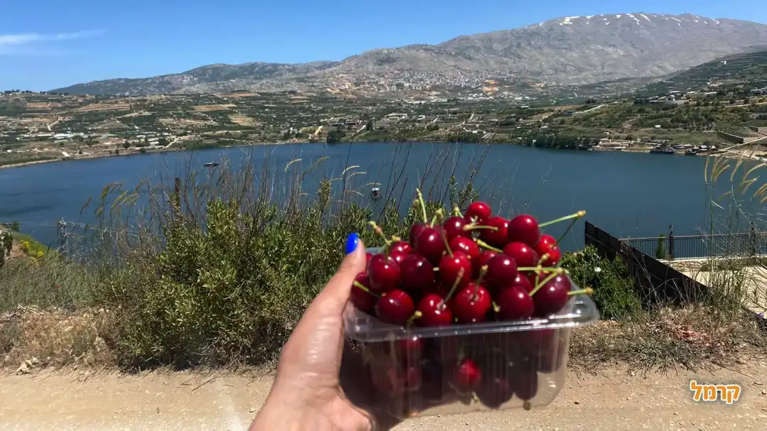 קטיף עצמי ברכת רם