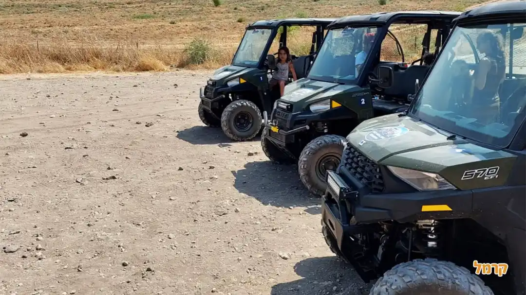 הרינגרים שלנו