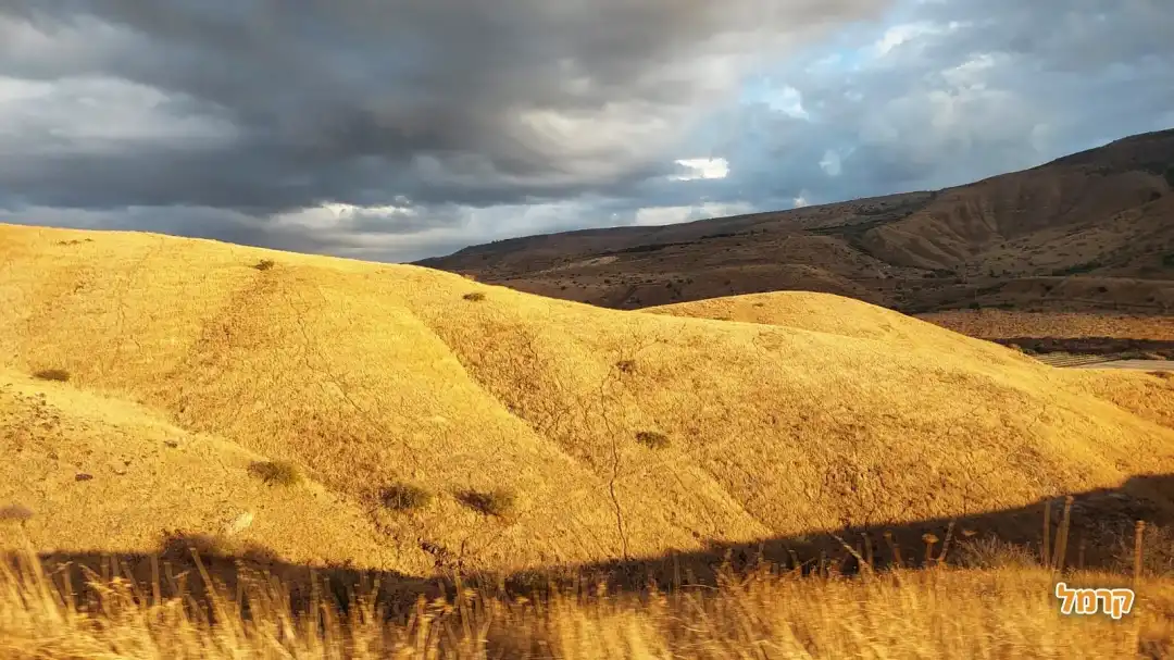 שדות ומרחבים