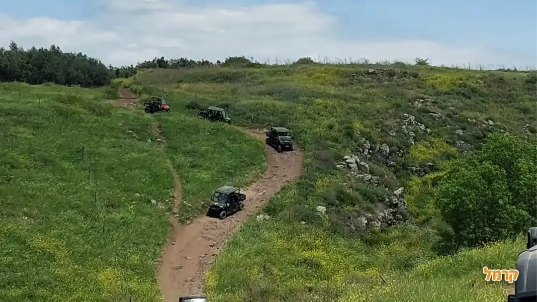 מסלול מהנה בשדה ירוק