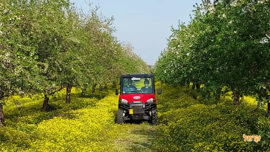 נהיגה בפרדס