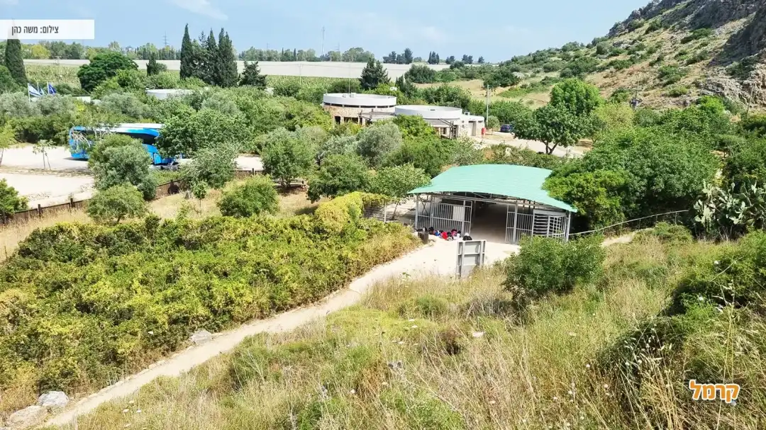 משפחת האדם הקדמון