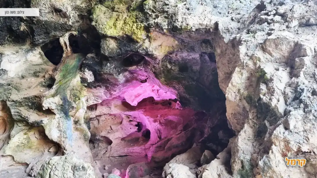 משפחת האדם הקדמון