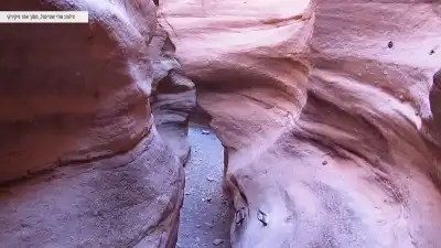 יתדות לטיפוס במסלול יתדות לטיפוס במסלול