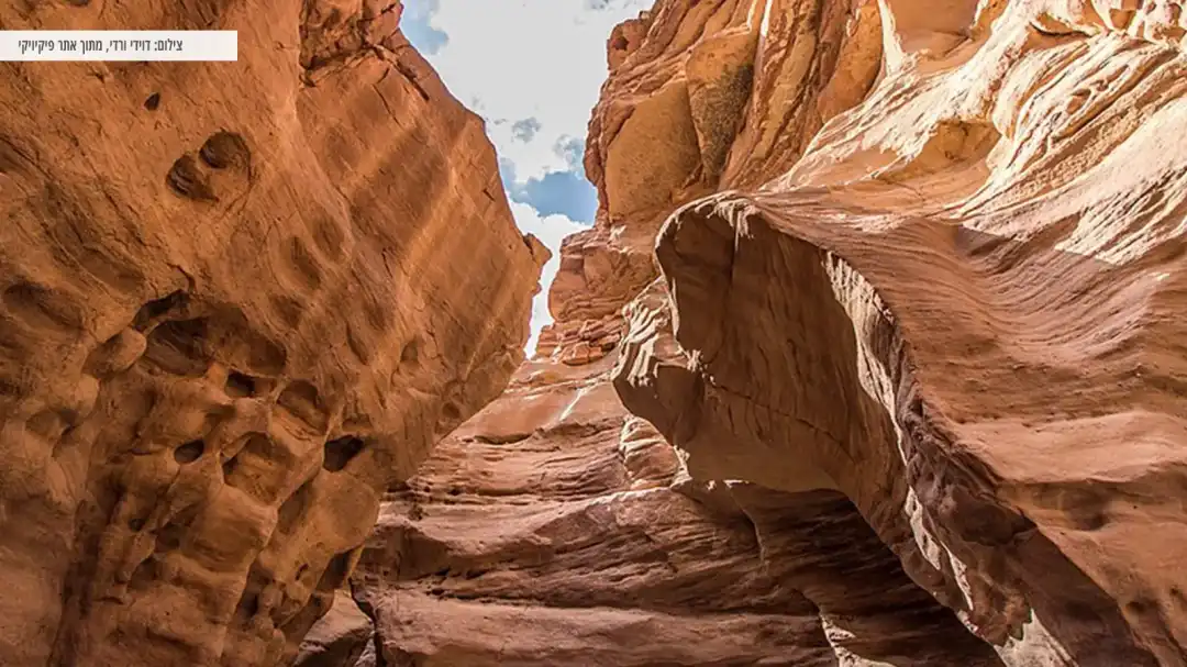 מבט אל השמיים מהקניון