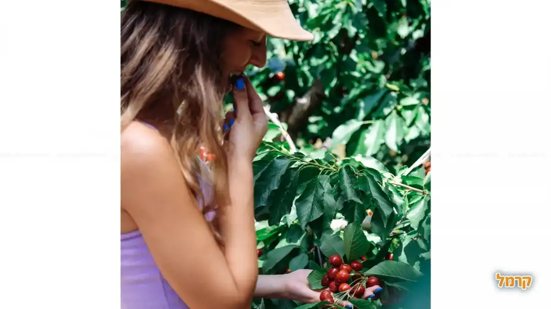 אפשר לטעום את הפרי