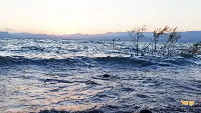 בילוי בחוף דוגה