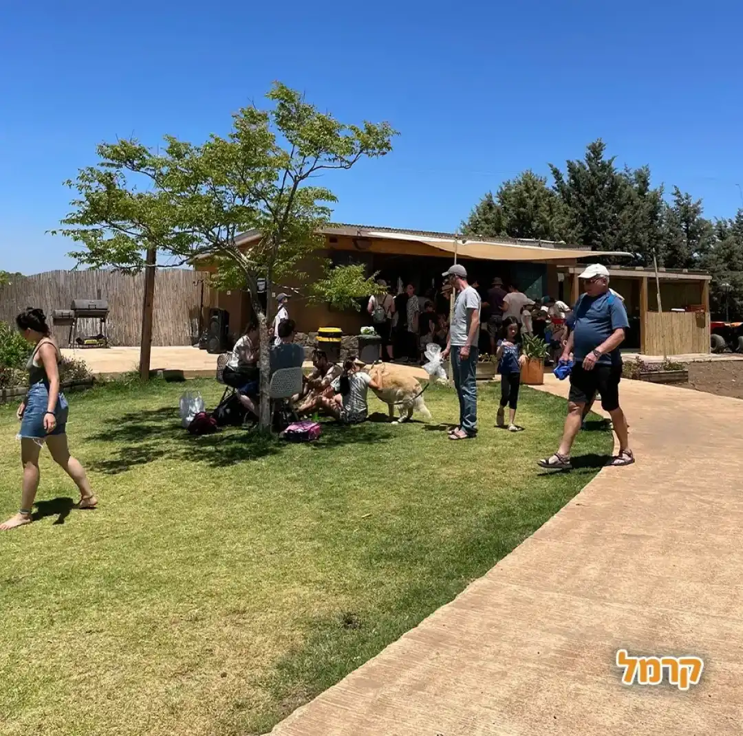 אירוח במקום