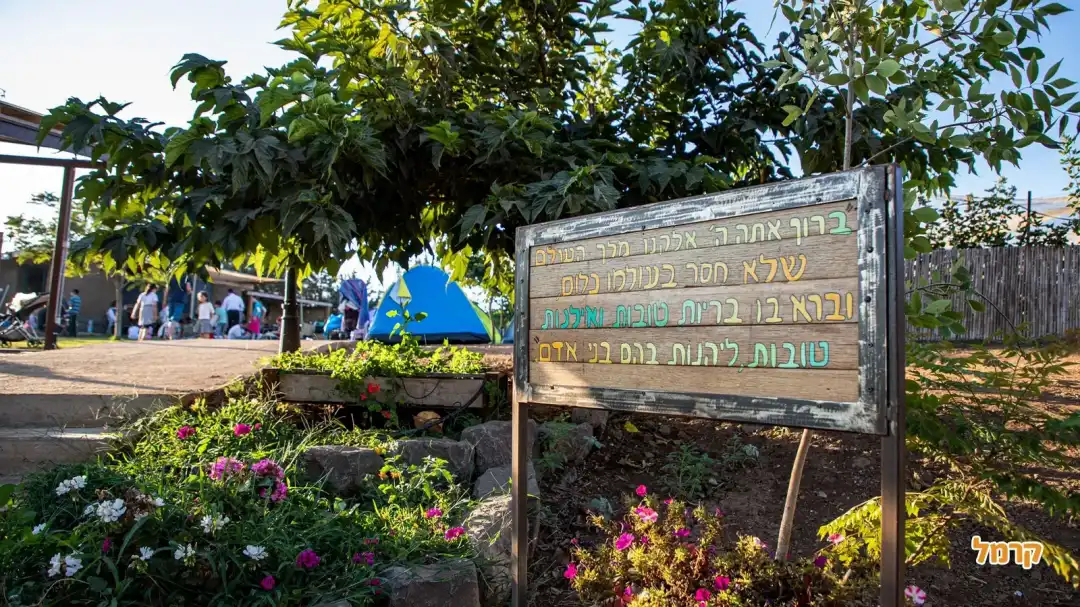 קמפינג משק מלול