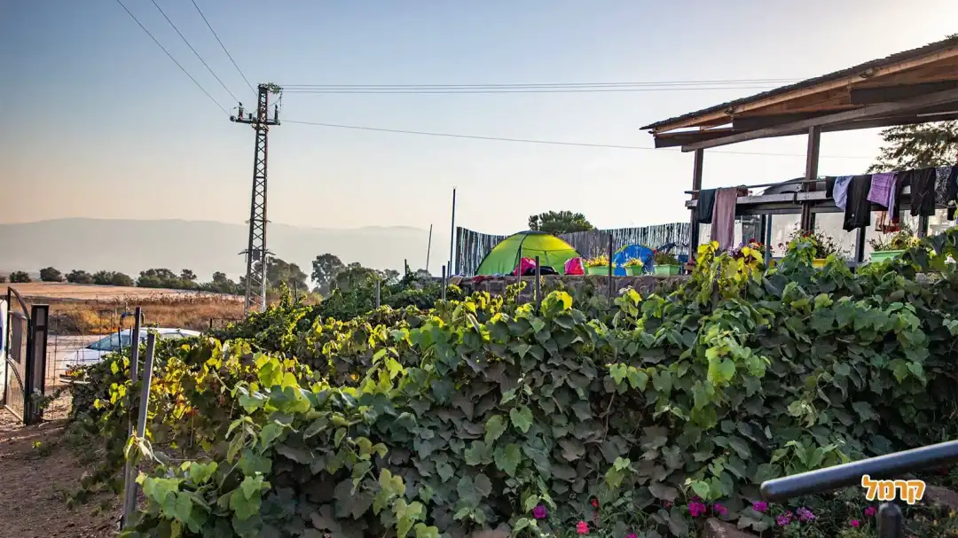 קמפינג משק מלול